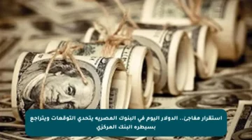 استقرار مفاجئ.. الدولار اليوم في البنوك المصرية يتحدى التوقعات ويتراجع بسيطرة البنك المركزي